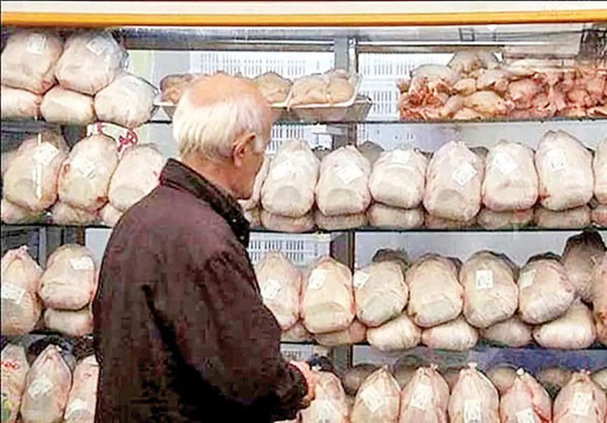 سرپیچی مرغ‌ها از قیمت دستوری ۱۵ هزار تومانی |  شکست دوباره قیمت‌گذاری دولتی در بازار خرده‌فروشی 