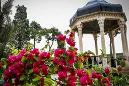 فال حافظ امروز | با تفسیر دقیق + ویدئو 