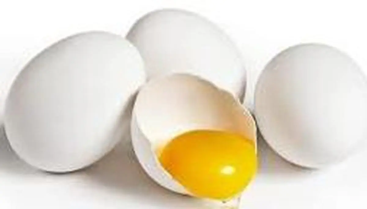 تخم مرغ و افزایش ابتلا به دیابت|تاثیر روماتیسم بر مرگ های کرونایی