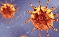 شناسایی گونه جدید کروناویروس در ژاپن با احتمال کاهش کارایی واکسنهای موجود 