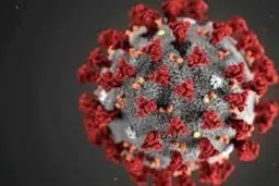 بروفن و ژلوفن برای بیماران کرونا، ممنوع