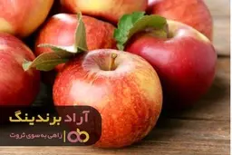 کارهایی که انسانهای بزرگ دنیا هر روز انجام می دهند