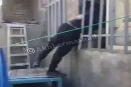 دزد ناشی در مشهد لای پنجره گیر کرد و به دست صاحب‌خانه افتاد!+ویدئو 