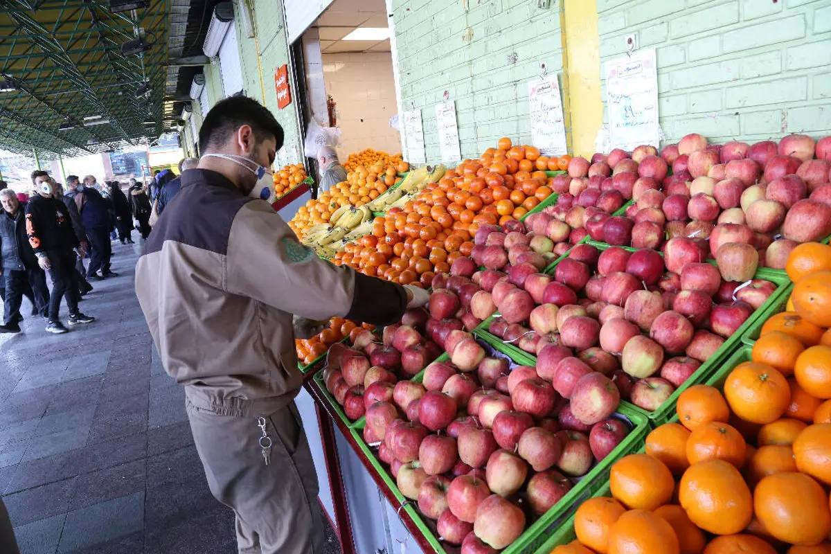نابودی ۶۰ درصد از بوته‌های هندوانه به دلیل گرما | میوه ذخیره‌شده در تهران هنوز بفروش نرسیده