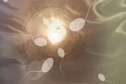 کشف نور مرموز در لحظه تشکیل جنین | "zinc spark" نشانه‌ای از روح یا واکنش شیمیایی؟ +ویدئو