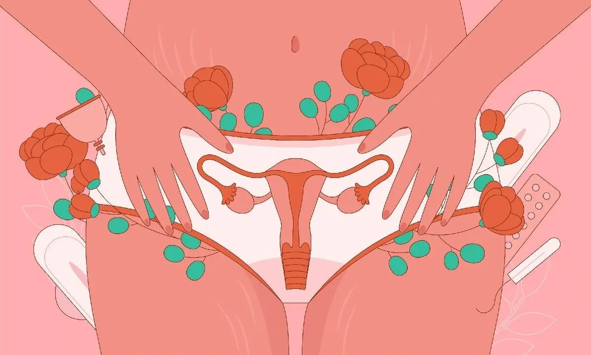 اگزمای تناسلی چیست و علت و نحوه درمان آن چگونه است؟