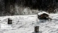 ویدئو؛ تصاویر خیره کننده از جنگلهای هیرکانی در برف