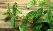 روش کاشت نعنا بدون دردسر و هزینه در خانه