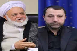 کنایه تند و جنجالی علی نادری به مصباحی مقدم در یک توییت + جزئیات