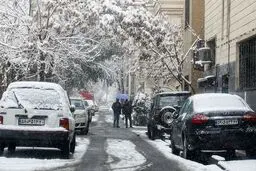 بارش برف و باران در این مناطق کشور | هوای این شهرها آلوده می‌شود
