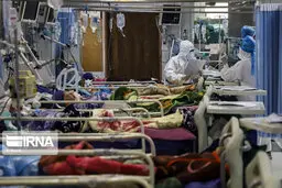 ایمنی بعد از یک بار ابتلا به کرونا، تصور غلطی است