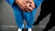 سارق شهرک اکباتان دستگیر شد
