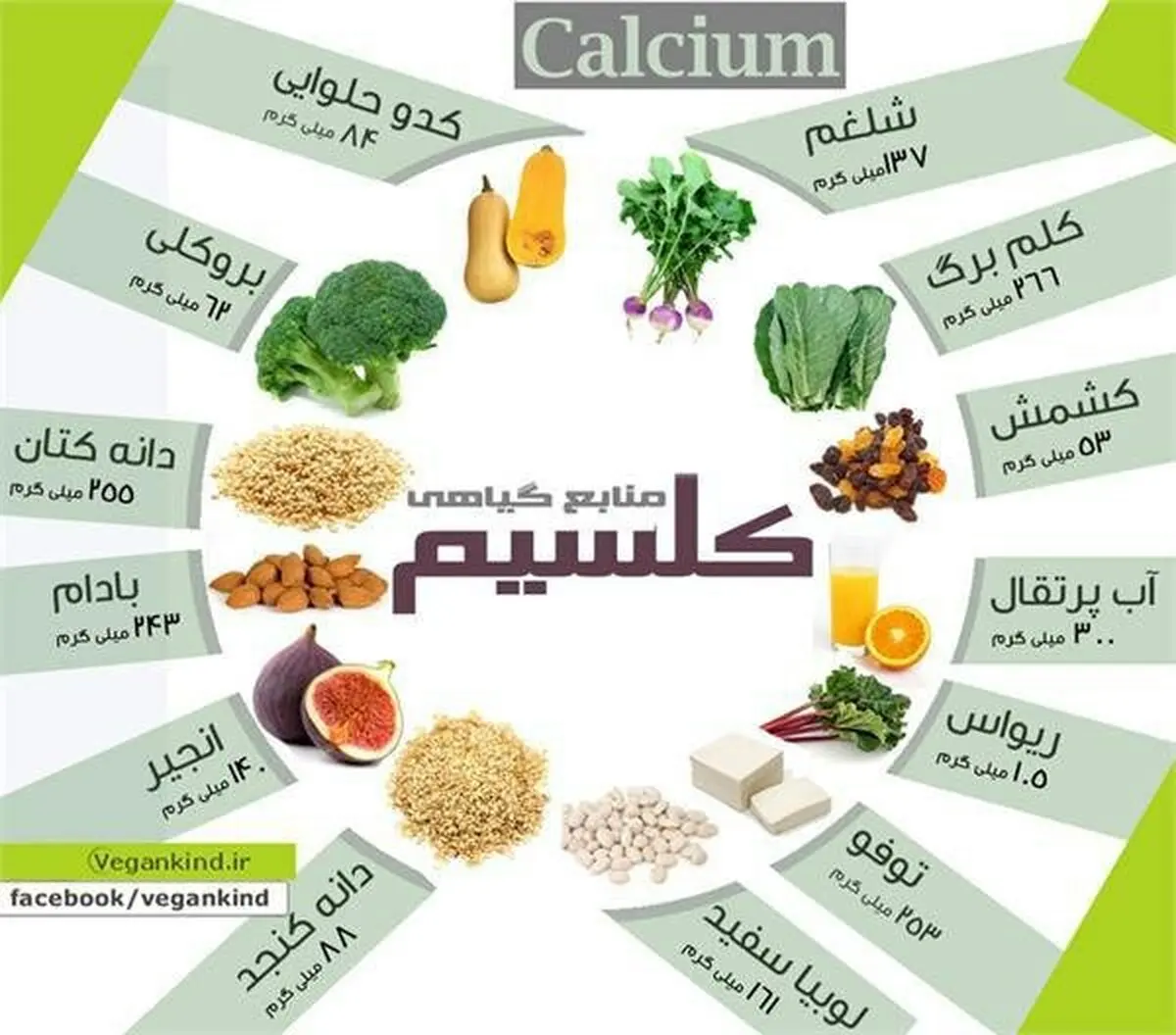  باخطرات کمبود کلسیم مورد نیاز بدن آشنا شوید