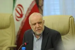 زنگنه  |  ناپختگی مسئول خصوصی‌سازی مردم را نگران کرد 