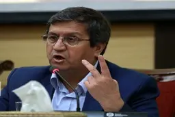 
با افزایش تدریجی عرضه، تعادل به بازار ارز باز خواهدگشت
