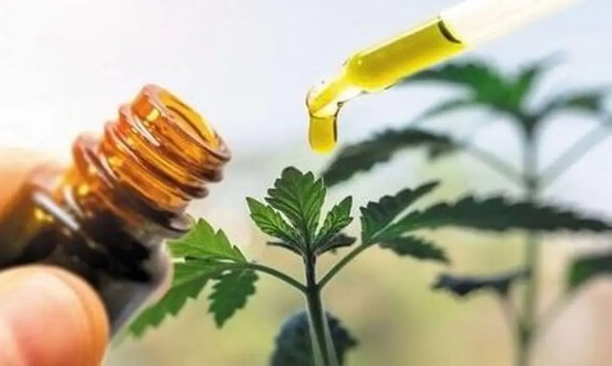 مجوز صدور ۲ داروی گیاهی برای تسکین بیماران کرونایی تایید شد