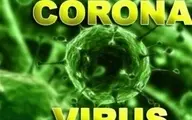 مقام ارتش امریکا: ویروس کرونا به صورت طبیعی ایجاد شده؛کار چین نیست