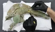 کشف شیپور جنگ افسانه‌ای | یادگار نبرد سلت‌ها با ارتش روم