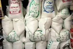 ضربه به شبکه احتکار مواد غذایی | کشف بیش از ۲۲۰۰ تن برنج در انبارهای غیرمجاز