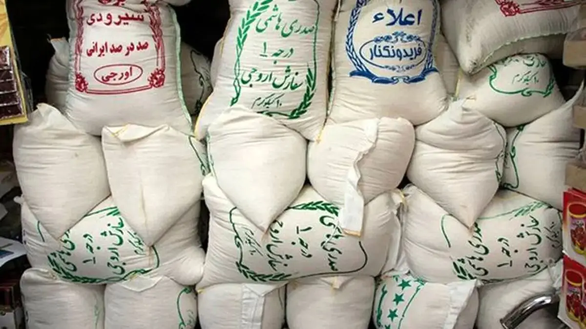 ضربه به شبکه احتکار مواد غذایی | کشف بیش از ۲۲۰۰ تن برنج در انبارهای غیرمجاز