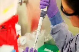 ۱۱ باور غلط درباره واکسن کرونا