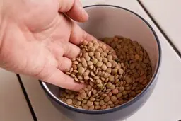 اگه میخوای صبحونه جدید با عدس یاد بگیری ببین! | طرز تهیه نان عدس یک صبحانه متنوع +ویدئو