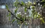 بارش باران شدید تا یکشنبه هفته آینده در نقاط مختلف کشور