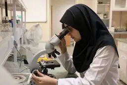  طرح دولت برای حمایت از ۲ میلیون زوج نابارور در کشور  +جزئیات