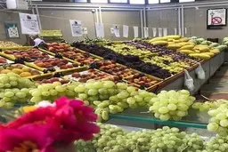 تعطیلی میادین میوه و تره بار در ایام تاسوعا و عاشورا