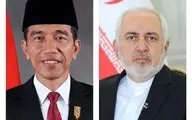 
ظریف با رییس‌جمهوری اندونزی دیدار کرد
