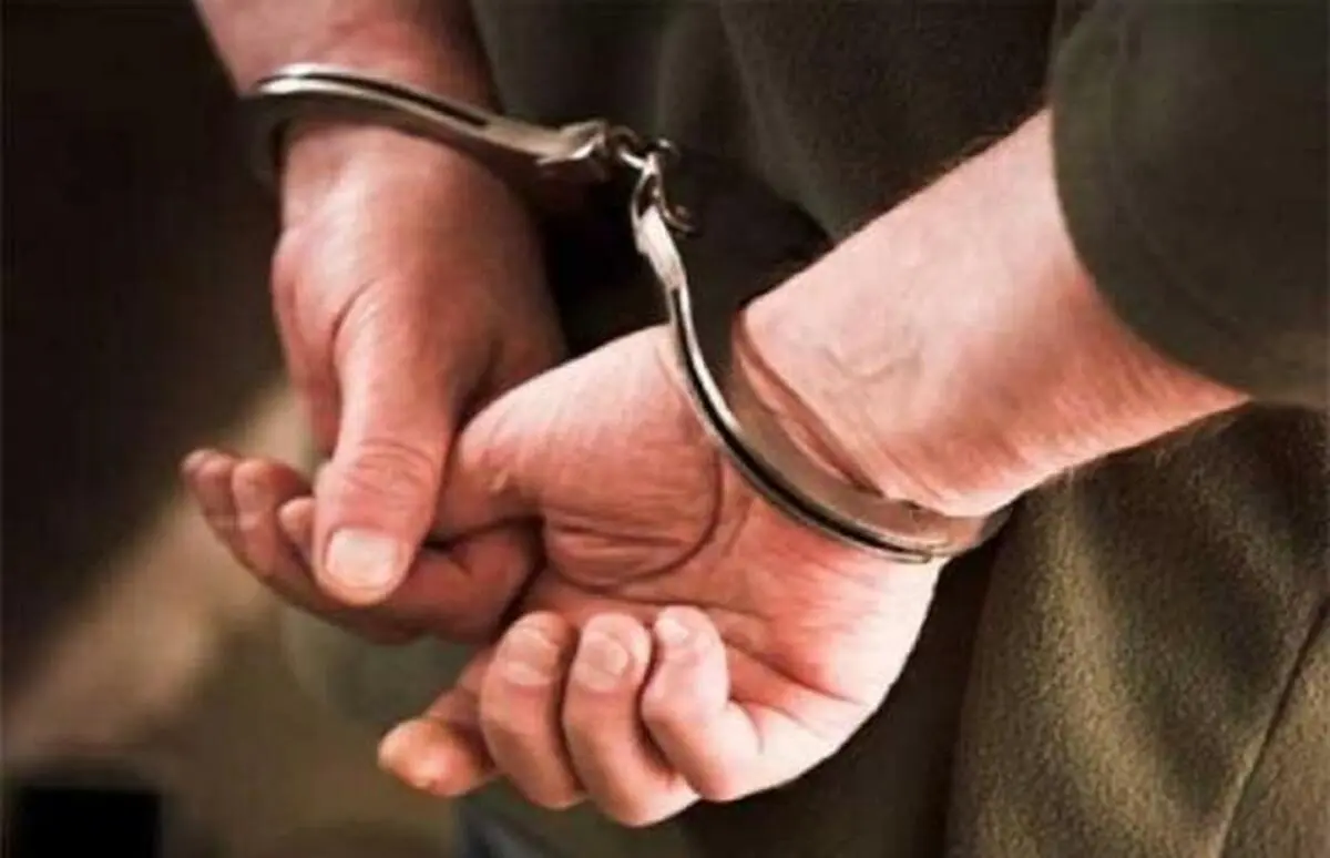 پشت پرده سرقت پیک اینترنتی غذا در نیاوران  | جزئیات ماجرا