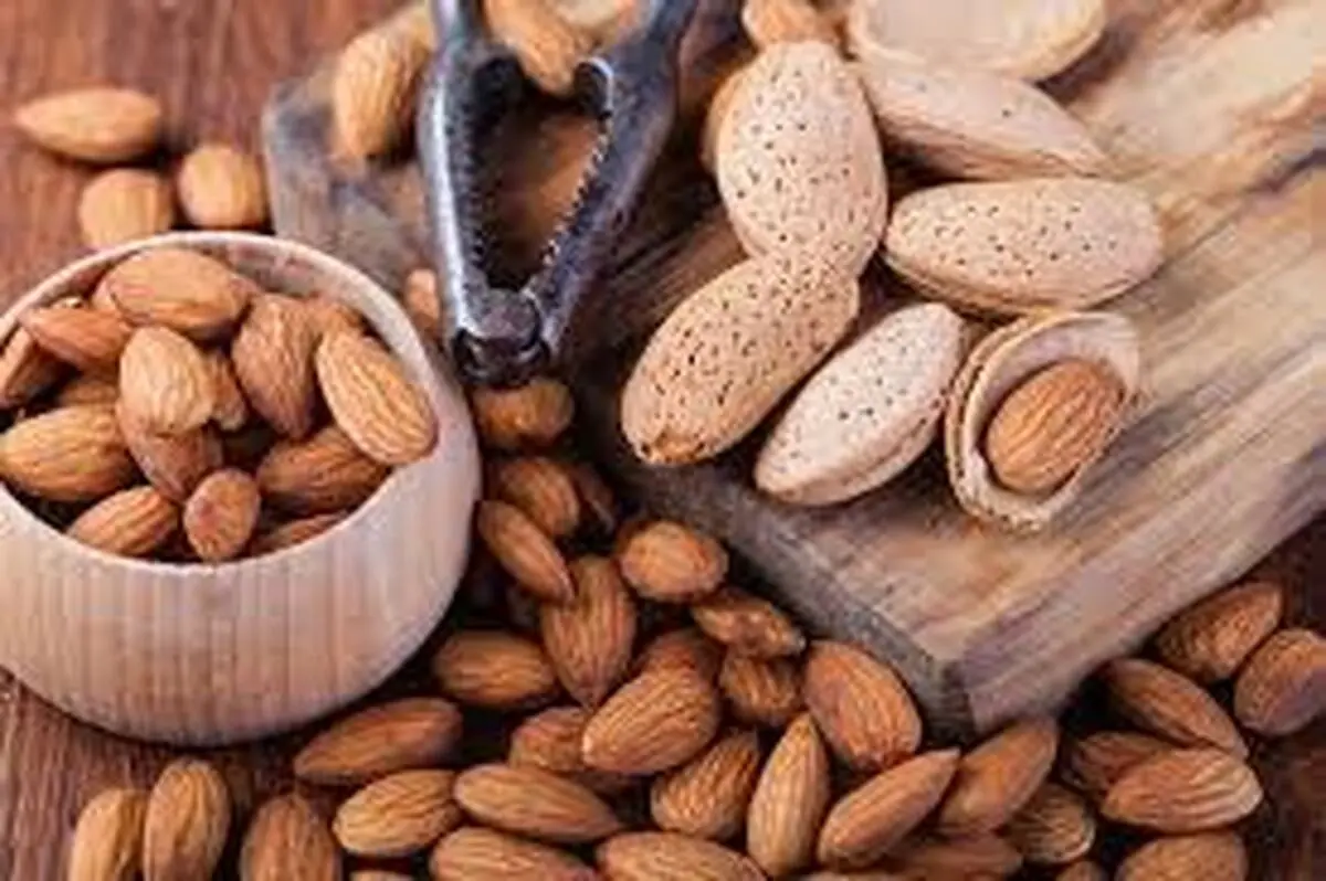 برای آرامش اعصابتان این آجیل را بخورید