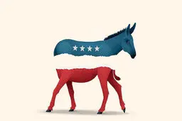 سرگردانی دموکـرات‌ها در دو قطبـی چپ و راست
