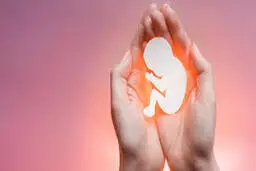 بیش از ۴۰ تا ۵۰‌ میلیون سقط جنین هرساله اتفاق می‌افتد
