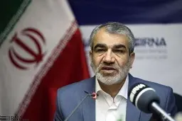 کدخدایی: تایید شورای نگهبان ازلایحه حمایت از اطفال و نوجوانان 