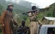 افغانستان  |  یک عضو اصلی شبکه القاعده کشته شد