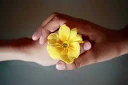 پنج ویژگی‌ که باعث می‌شود دیگران به شما احترام بگذارند