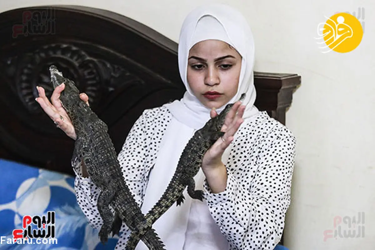  تمساح پرورش دختر ۱۵ ساله دراتاق خود+عکس