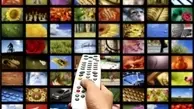 ۱۹۰ شبکه ماهواره‌ای فیلم‌های ایرانی را می‌دزدند