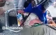 پلنگ ایرانی در سندرک میناب از تله رها شد + ویدئو