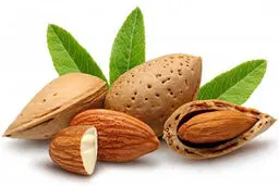 
بادام به کاهش کلسترول کمک می‌کند
