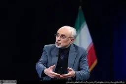 صالحی: در برجام، هیچ‌کدام از حقوق فنی هسته‌ای‌مان را واگذار نکردیم