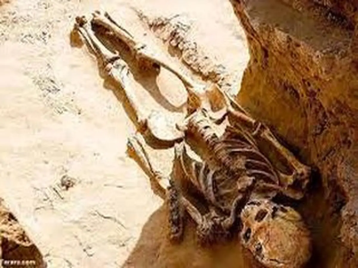 کشف عجیب و غریب باستان شناسان | پیداشدن اسکلت ۷۶ کودک که به طور وحشتناکی قربانی شده اند