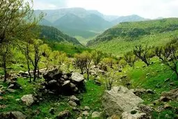 مادرم را می‌کُشم تا زنده بمانم!