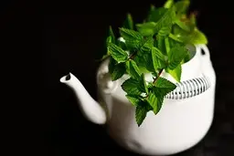  استنشاق رایحه مرکبات و نعناع برای آرامش اعصاب مفید است