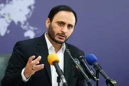 سخنگوی دولت: هیچ برنامه کوتاه مدتی برای حذف ارز ترجیحی گندم و دارو نداریم 
