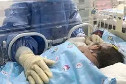 کرونا جان نوزاد ۷ ماهه راز و جرگلانی را گرفت