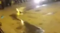 تخریب ماشین یک رهگذر در کاشمر در شب چهارشنبه‌سوری+ویدئو