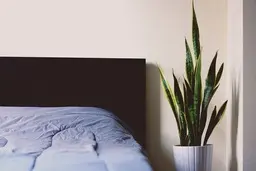  درمان بی خوابی یا بدخوابی با روش های طبیعی 