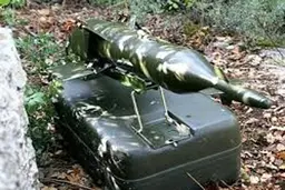  رعد موشک ضدزره ایرانیِ +تصاویر